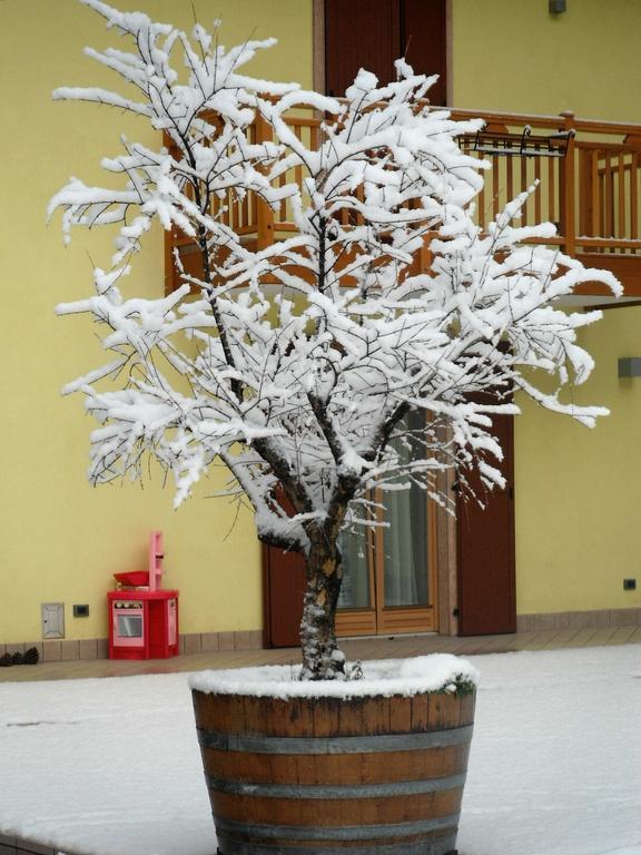 Вилла Agritur Ai Masi Pergolese Экстерьер фото